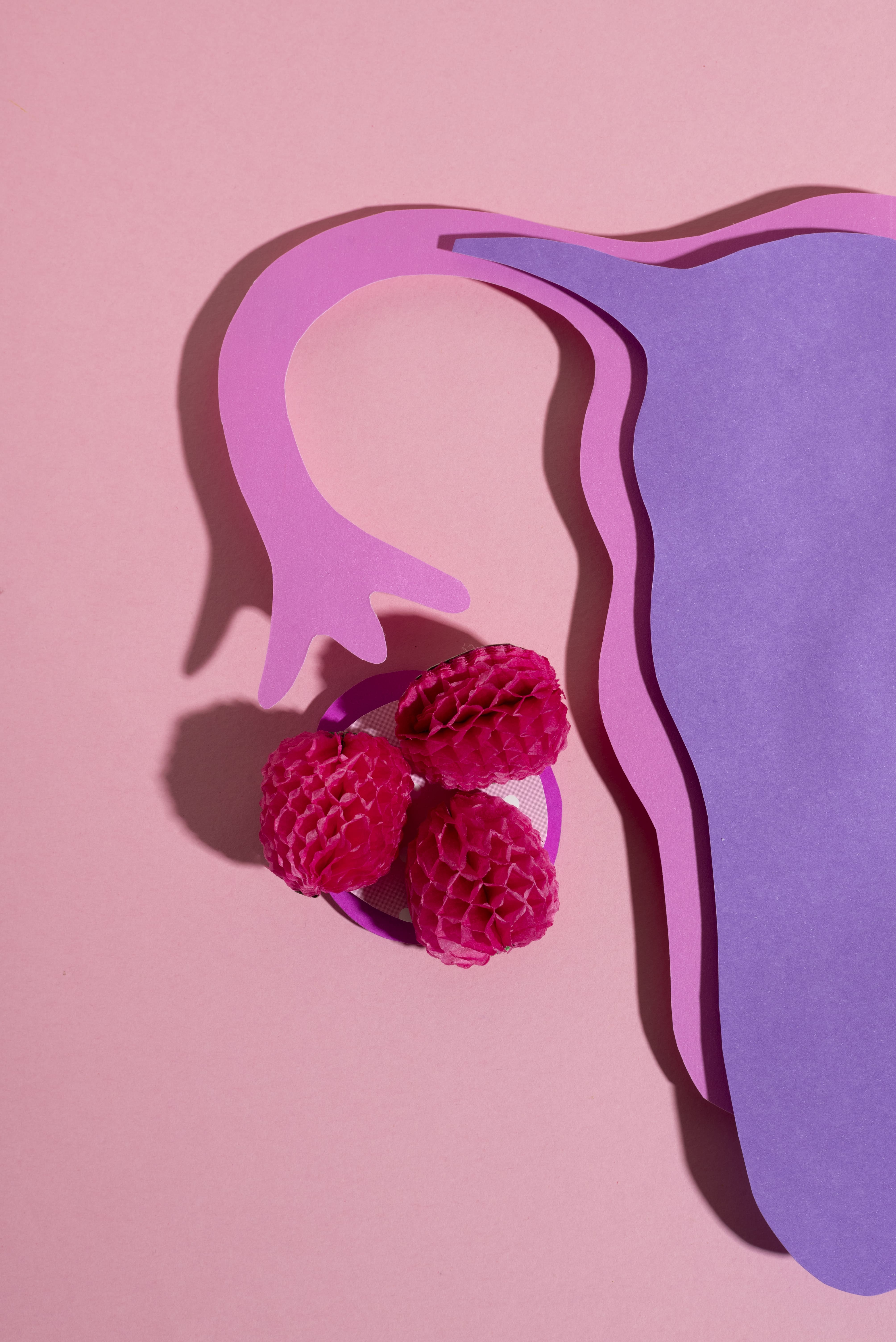 reproductive-system-pink-background (1)